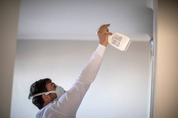 Best Certified Mold Removal  in North Bennington, VT