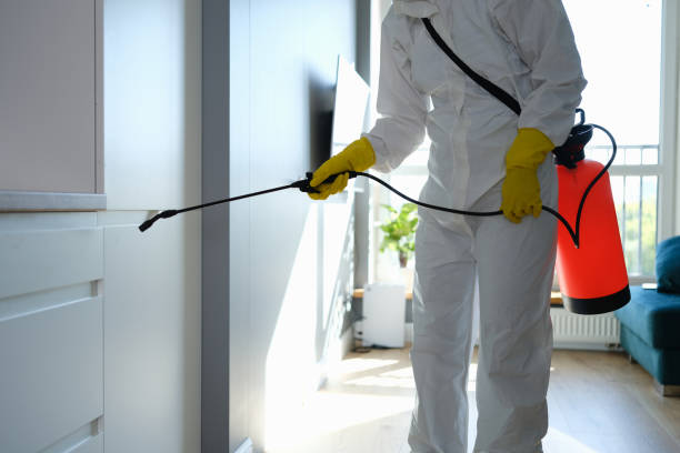 Best Crawl Space Mold Removal  in North Bennington, VT