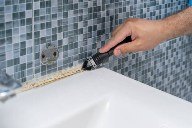 Best Mold Cleaning Services  in North Bennington, VT